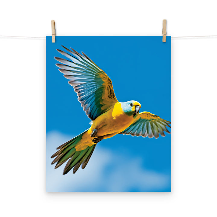 Parakeet Photo paper poster - PosterfyAI.com