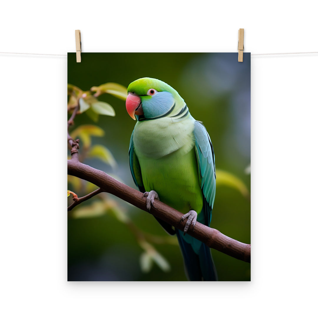 Parakeet Photo paper poster - PosterfyAI.com