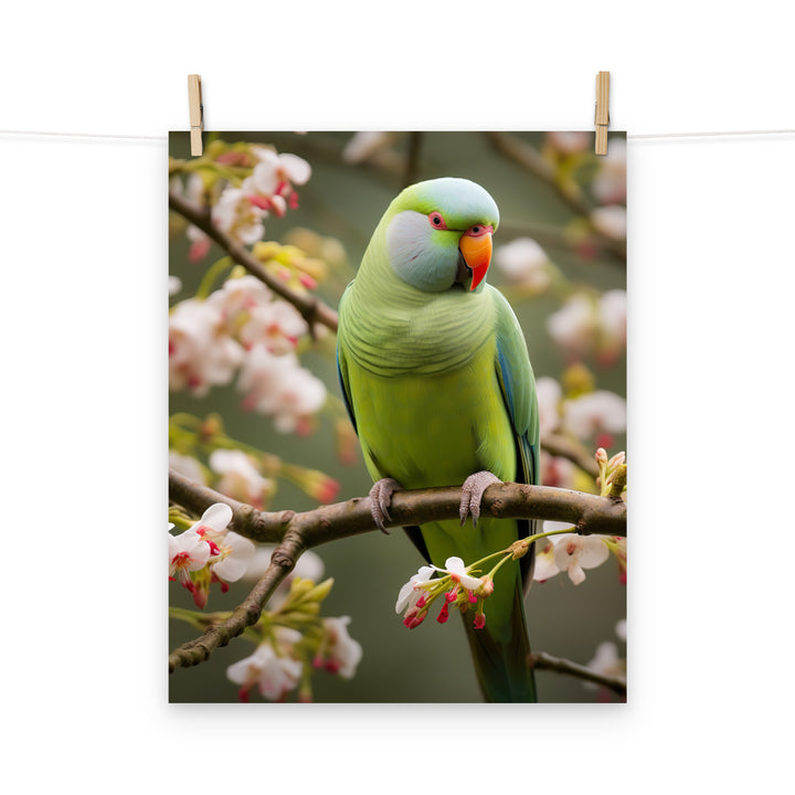 Parakeet Photo paper poster - PosterfyAI.com
