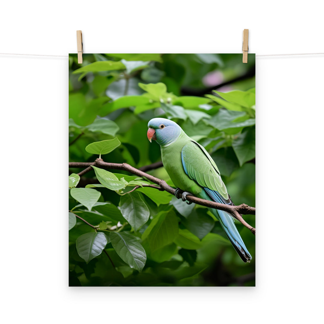 Parakeet Photo paper poster - PosterfyAI.com