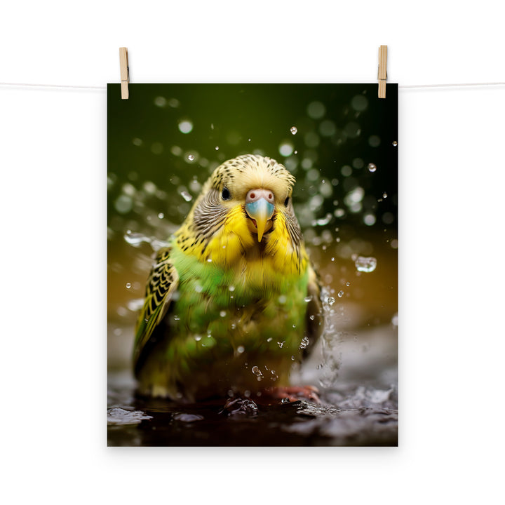 Budgerigar Photo paper poster - PosterfyAI.com