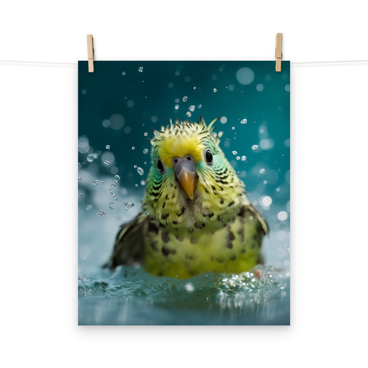 Budgerigar Photo paper poster - PosterfyAI.com