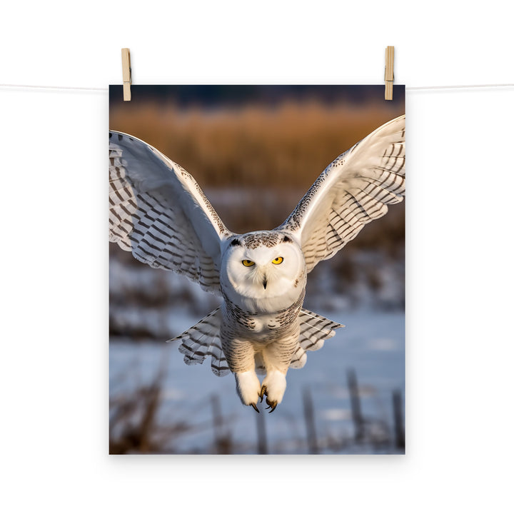 Owl Photo paper poster - PosterfyAI.com