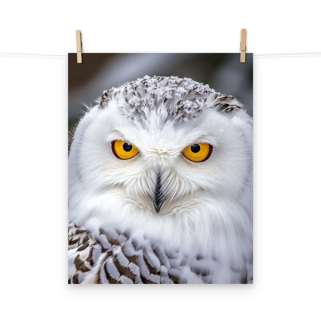 Owl Photo paper poster - PosterfyAI.com