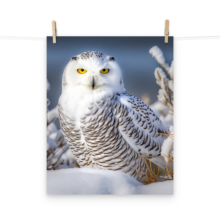 Owl Photo paper poster - PosterfyAI.com