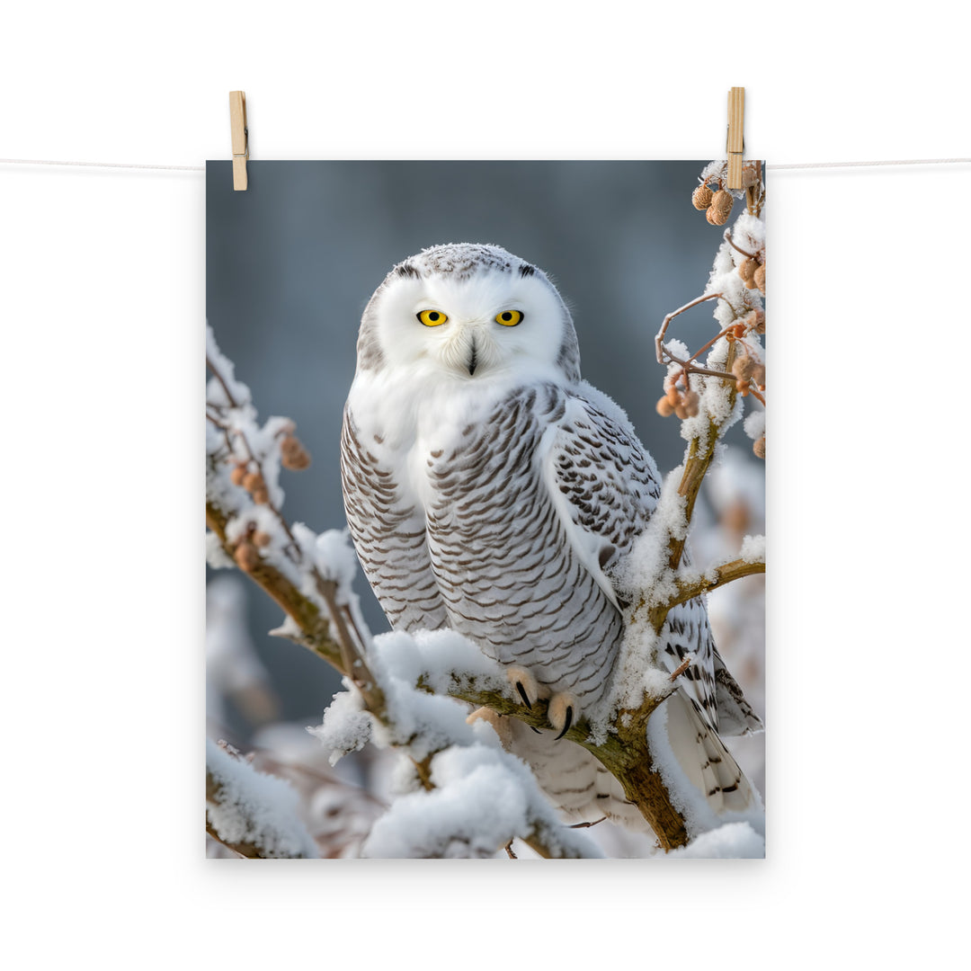Owl Photo paper poster - PosterfyAI.com