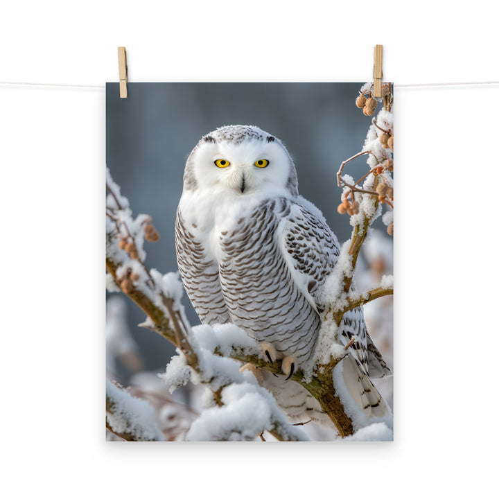 Owl Photo paper poster - PosterfyAI.com