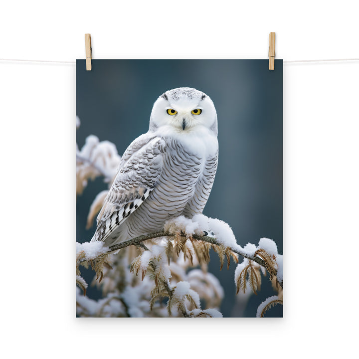 Owl Photo paper poster - PosterfyAI.com