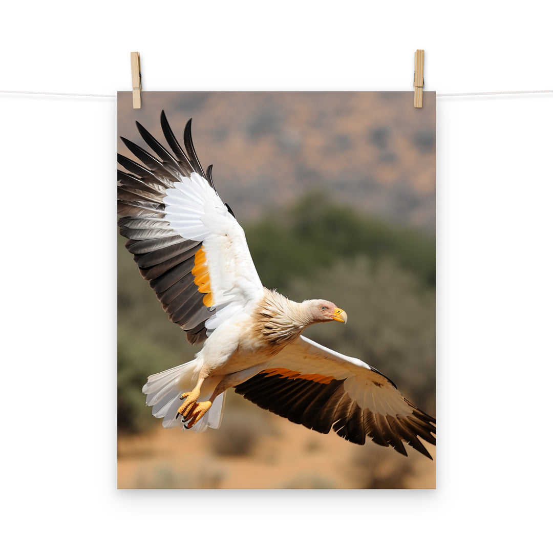 Vulture Photo paper poster - PosterfyAI.com