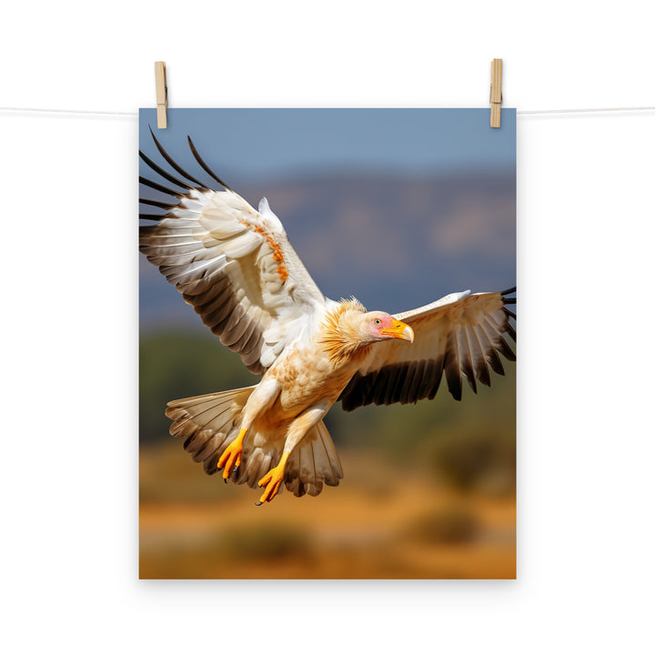 Vulture Photo paper poster - PosterfyAI.com