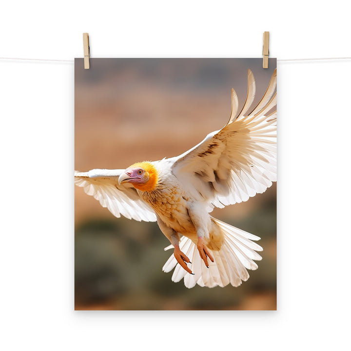 Vulture Photo paper poster - PosterfyAI.com