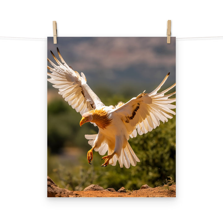 Vulture Photo paper poster - PosterfyAI.com