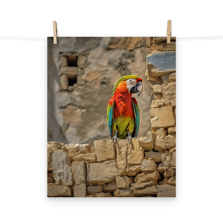 Macaw Photo paper poster - PosterfyAI.com