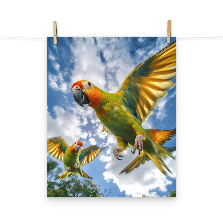 Conures Photo paper poster - PosterfyAI.com
