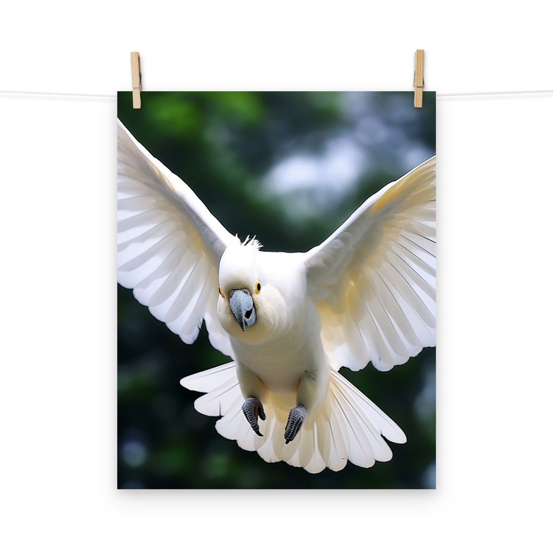Cockatoo Photo paper poster - PosterfyAI.com