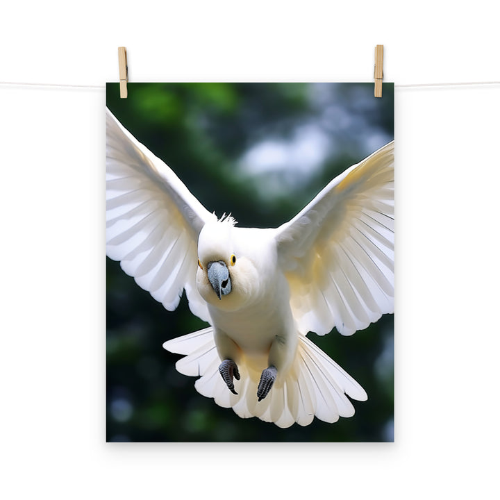 Cockatoo Photo paper poster - PosterfyAI.com