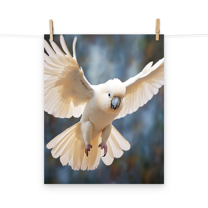 Cockatoo Photo paper poster - PosterfyAI.com