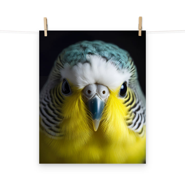 Budgerigar Photo paper poster - PosterfyAI.com