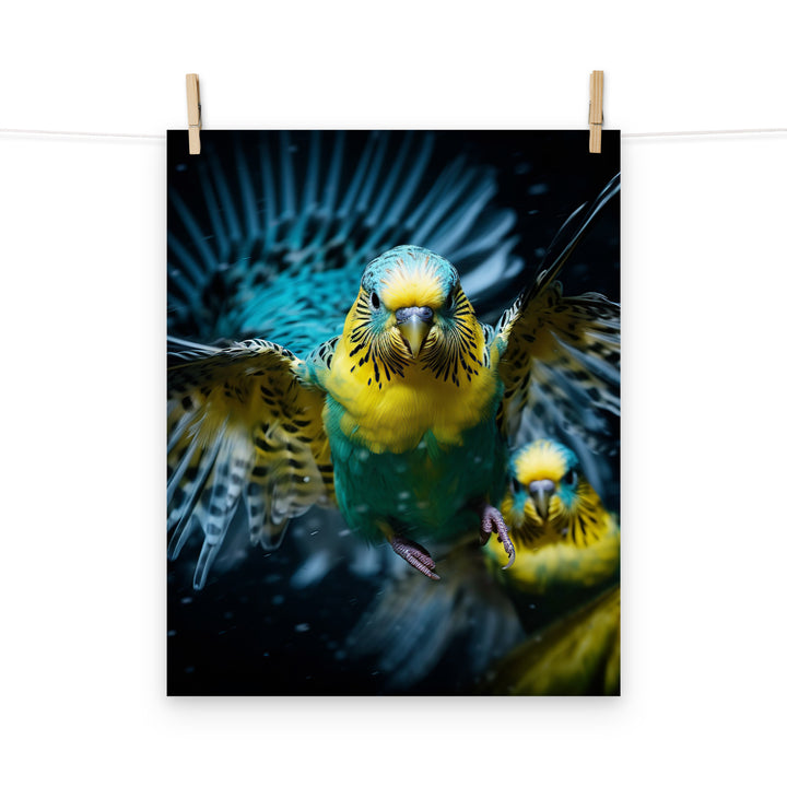 Budgerigar Photo paper poster - PosterfyAI.com