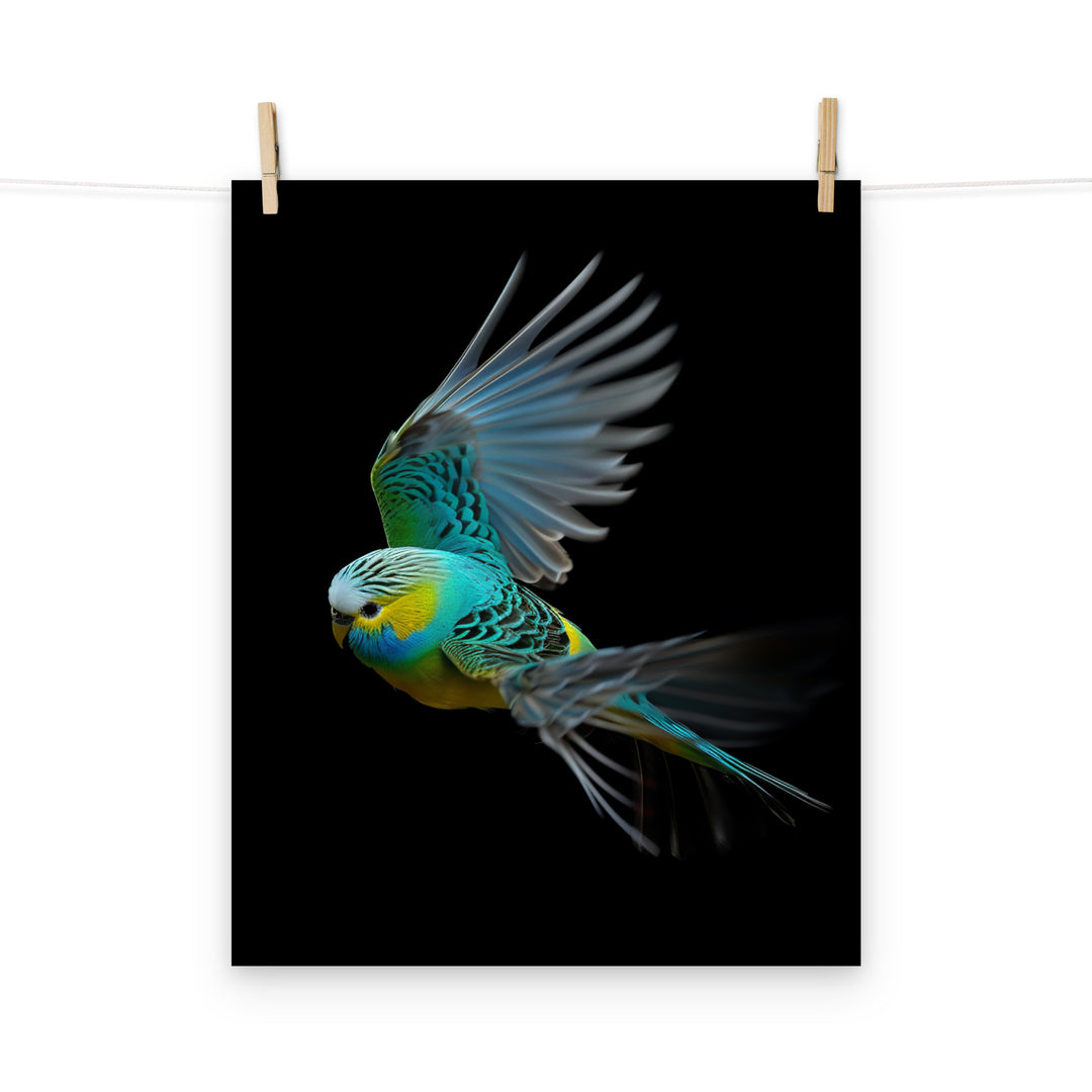 Budgerigar Photo paper poster - PosterfyAI.com
