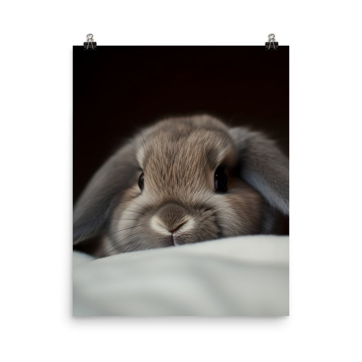 Holland Lop Photo paper poster - PosterfyAI.com