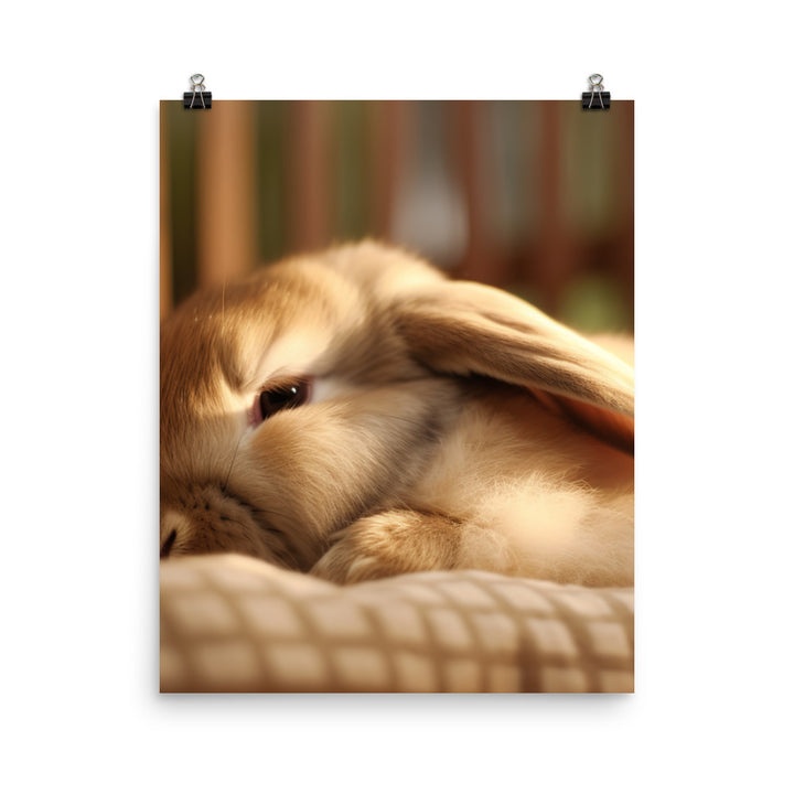Holland Lop Photo paper poster - PosterfyAI.com