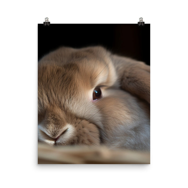 Holland Lop Photo paper poster - PosterfyAI.com