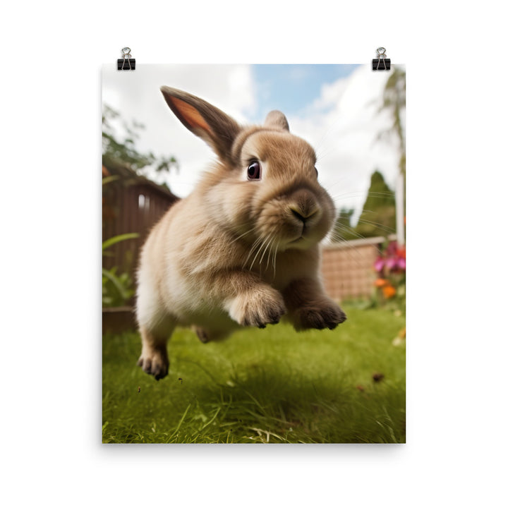 Holland Lop Photo paper poster - PosterfyAI.com