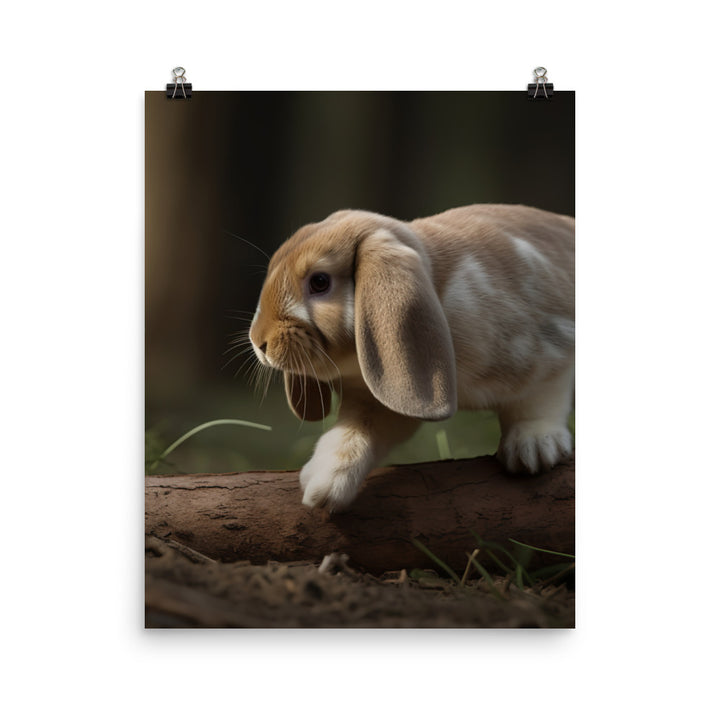Adventurous English Lop Photo paper poster - PosterfyAI.com