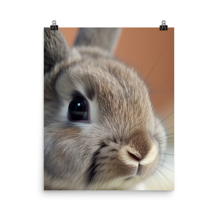 Netherland Dwarf Portrait Photo paper poster - PosterfyAI.com