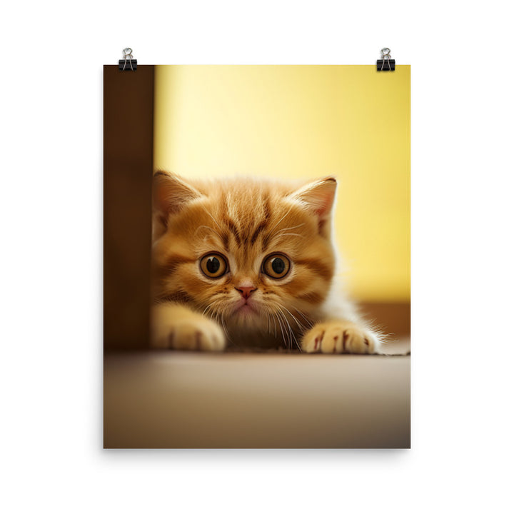 Exotic Shorthair Kitten Photo paper poster - PosterfyAI.com