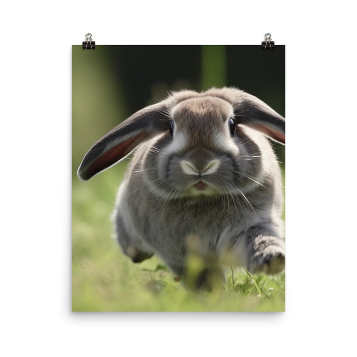 Playful Mini Lop Bunny in a Meadow Photo paper poster - PosterfyAI.com