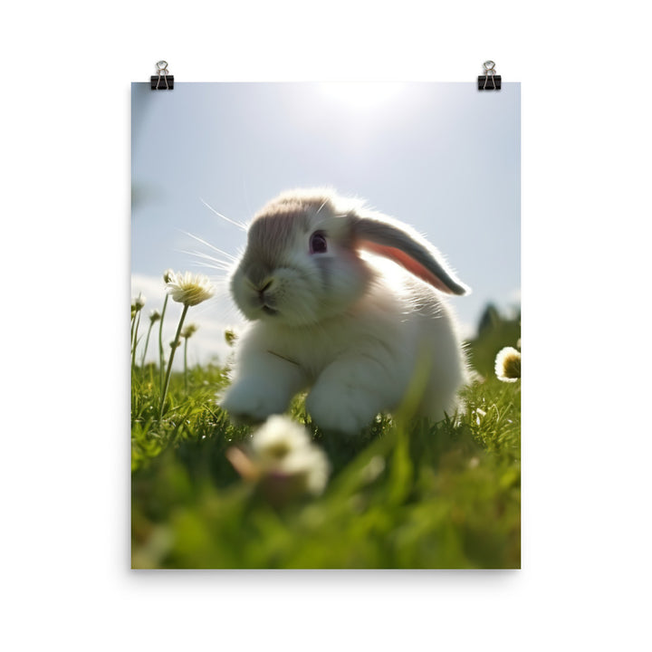 Playful Mini Lop Bunny in a Meadow Photo paper poster - PosterfyAI.com