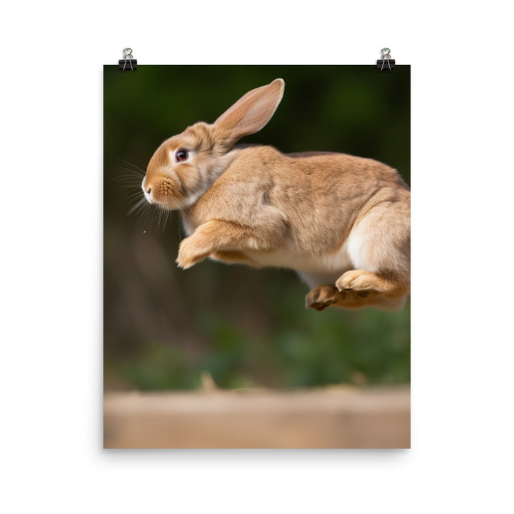 Playful French Lop Photo paper poster - PosterfyAI.com