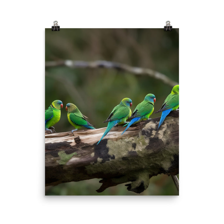 Rainbow Parakeets Photo paper poster - PosterfyAI.com