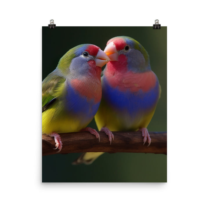 Rainbow Finches in the Wild Photo paper poster - PosterfyAI.com