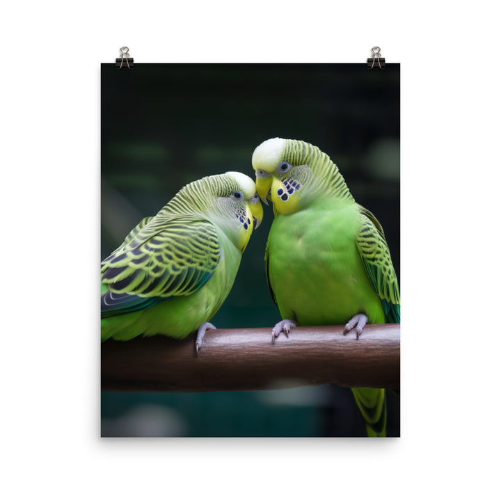 Parakeet Lovebirds Photo paper poster - PosterfyAI.com