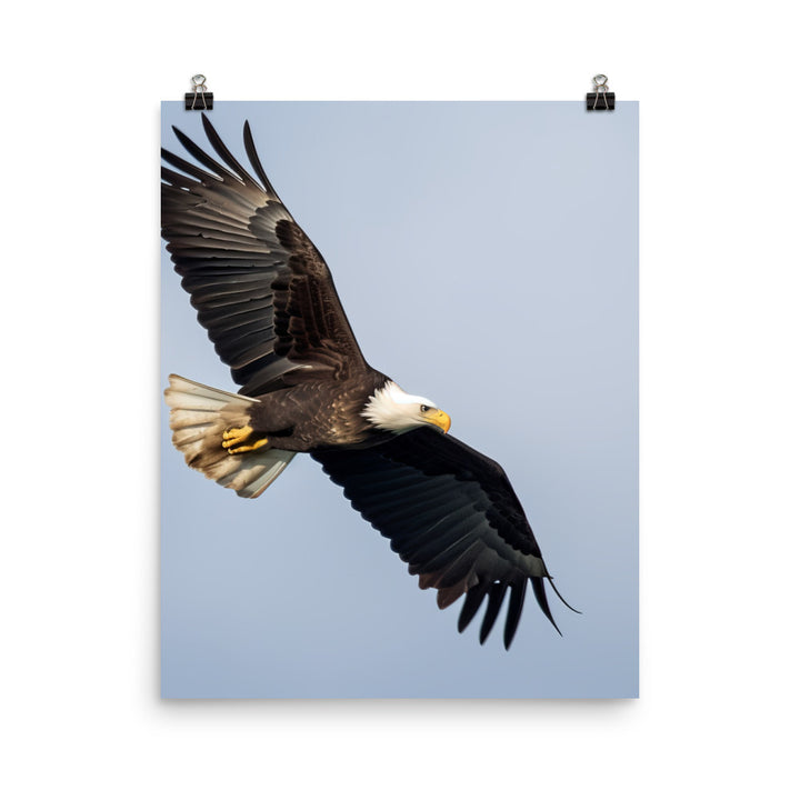 Majestic Bald Eagle Soaring in the Sky Photo paper poster - PosterfyAI.com