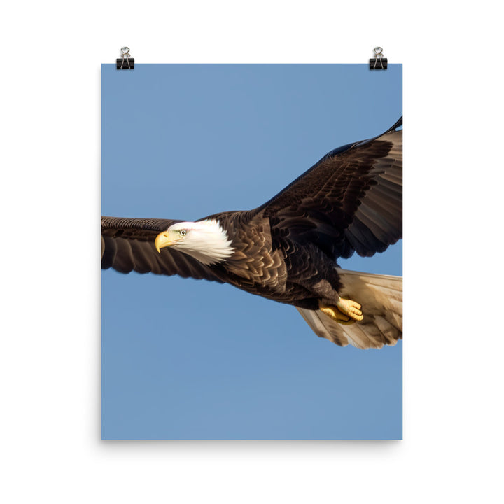 Majestic Bald Eagle Soaring in the Sky Photo paper poster - PosterfyAI.com