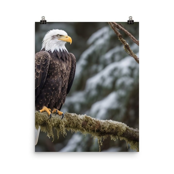 Majestic Bald Eagle Perched on a Tree Branch Photo paper poster - PosterfyAI.com
