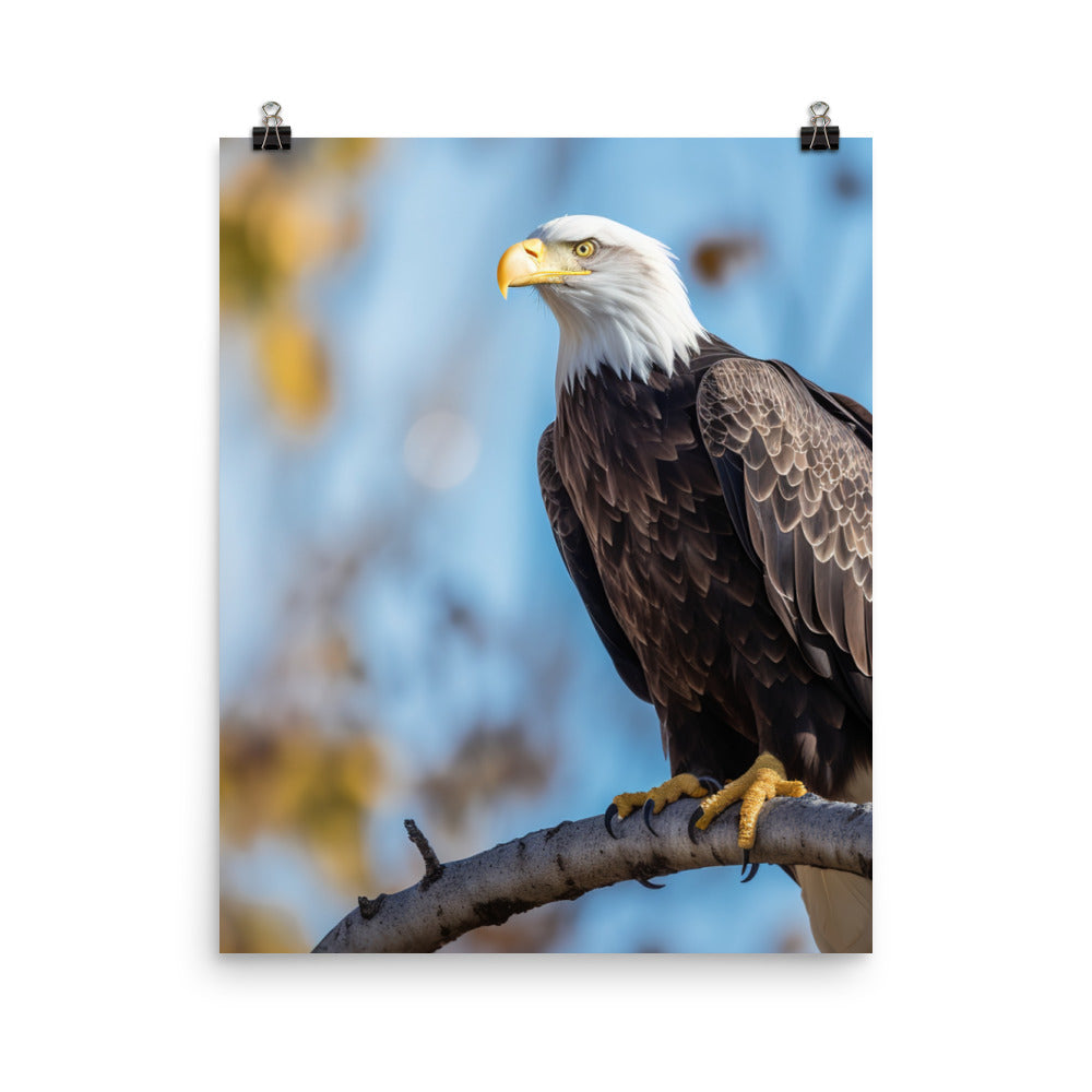 Majestic Bald Eagle Perched on a Tree Branch Photo paper poster - PosterfyAI.com