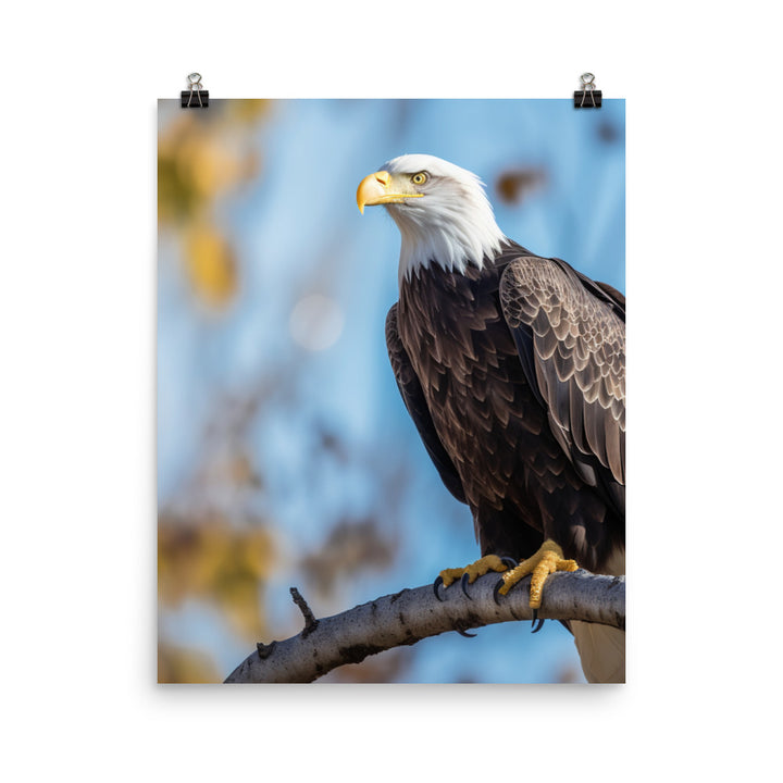 Majestic Bald Eagle Perched on a Tree Branch Photo paper poster - PosterfyAI.com