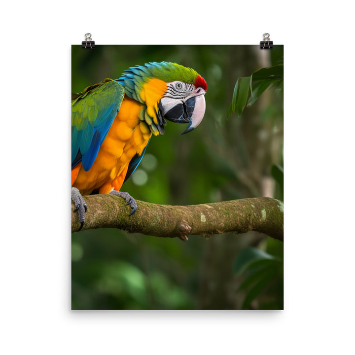 Green winged Macaw eating a nut Photo paper poster - PosterfyAI.com