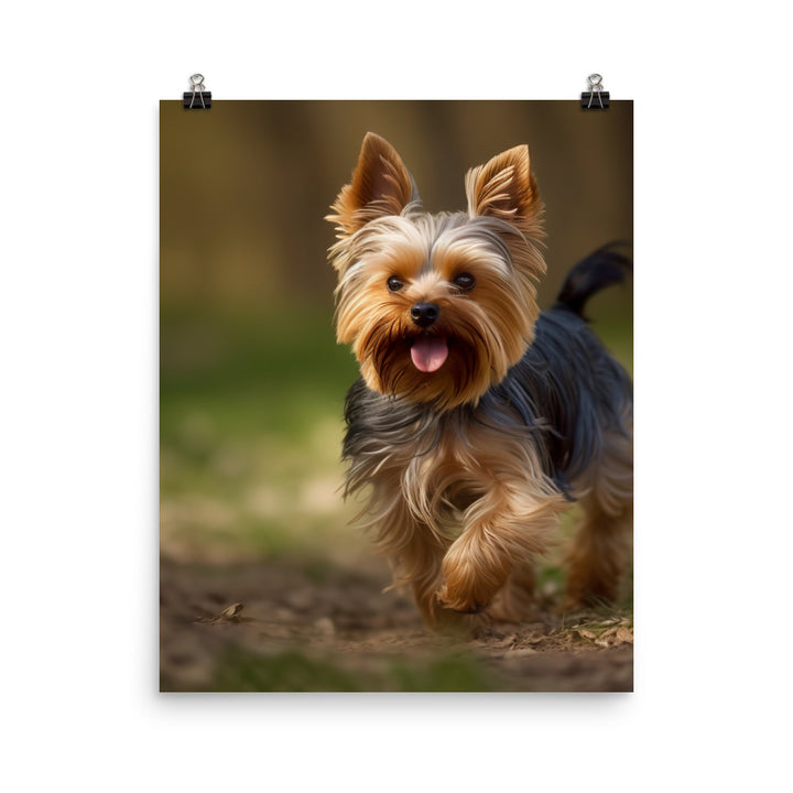 Yorkshire Terrier on-the-Go Photo paper poster - PosterfyAI.com