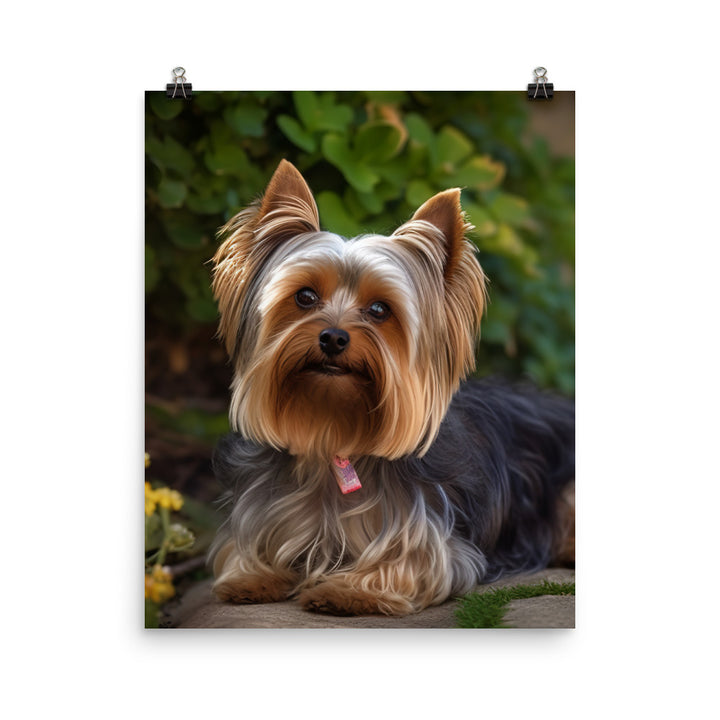 Yorkshire Terrier in the Garden Photo paper poster - PosterfyAI.com