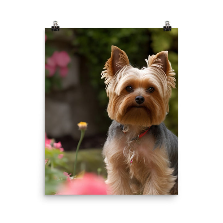 Yorkshire Terrier in the Garden Photo paper poster - PosterfyAI.com