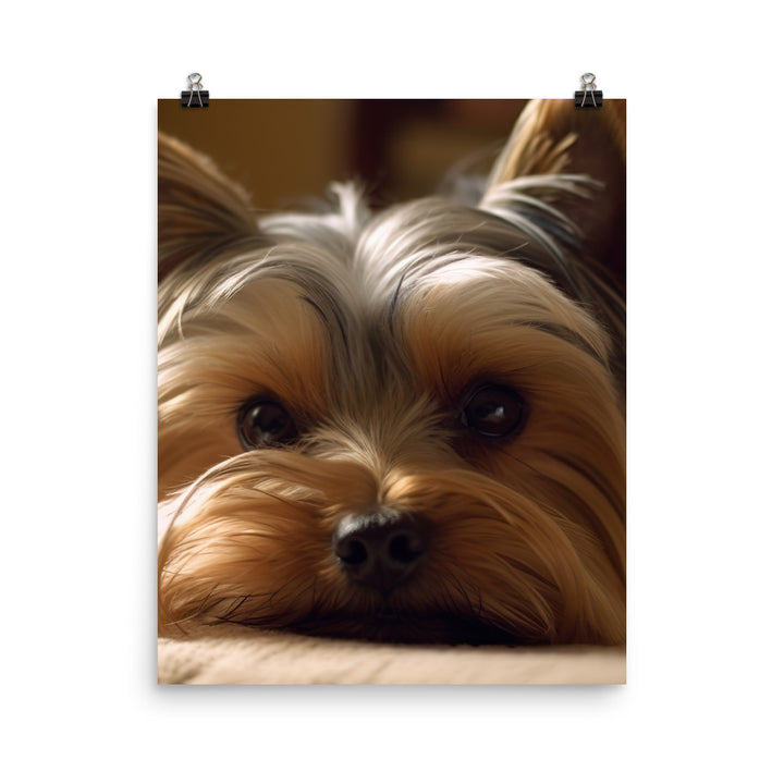 Yorkie at Home Photo paper poster - PosterfyAI.com