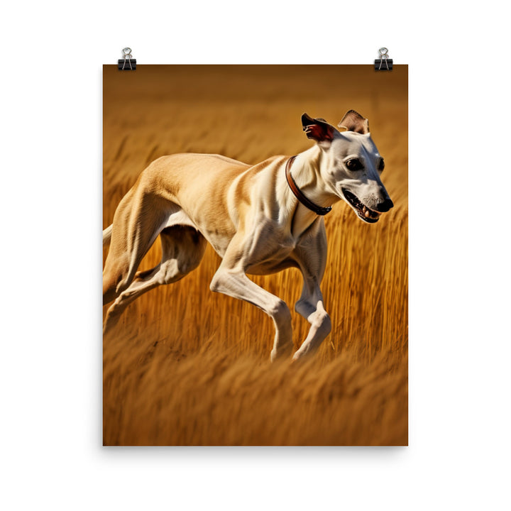 Whippet in Full Stride Photo paper poster - PosterfyAI.com