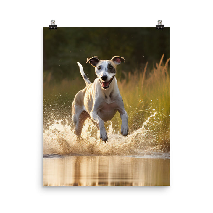 Whippet in-Action Photo paper poster - PosterfyAI.com
