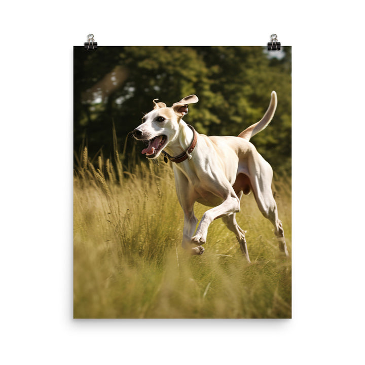 Whippet in-Action Photo paper poster - PosterfyAI.com